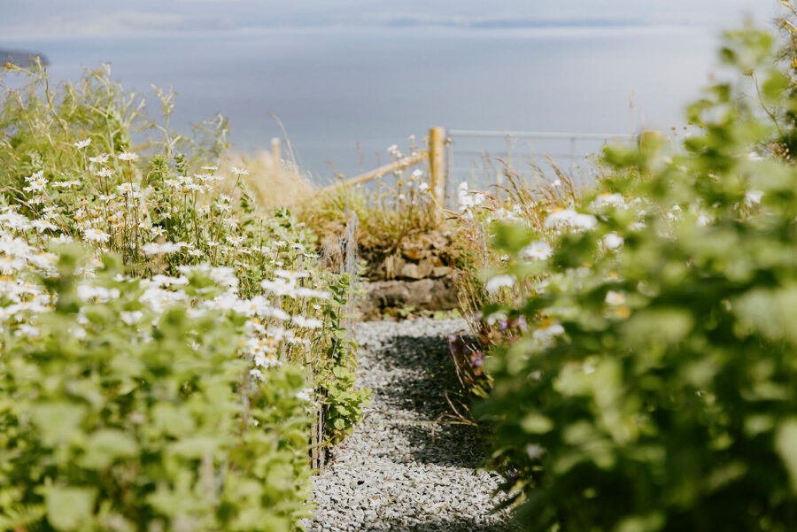 Oxeye daisies and a view of the sea from the cottage garden at Mint Croft, Skye.